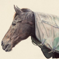 Zabeel - Gouache on Paper - Artist Kristin Hardiman.jpg